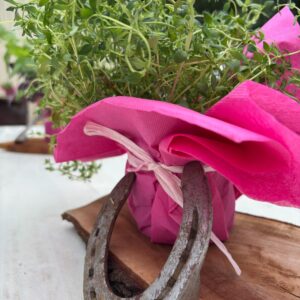 Pflanze mit Hufeisen