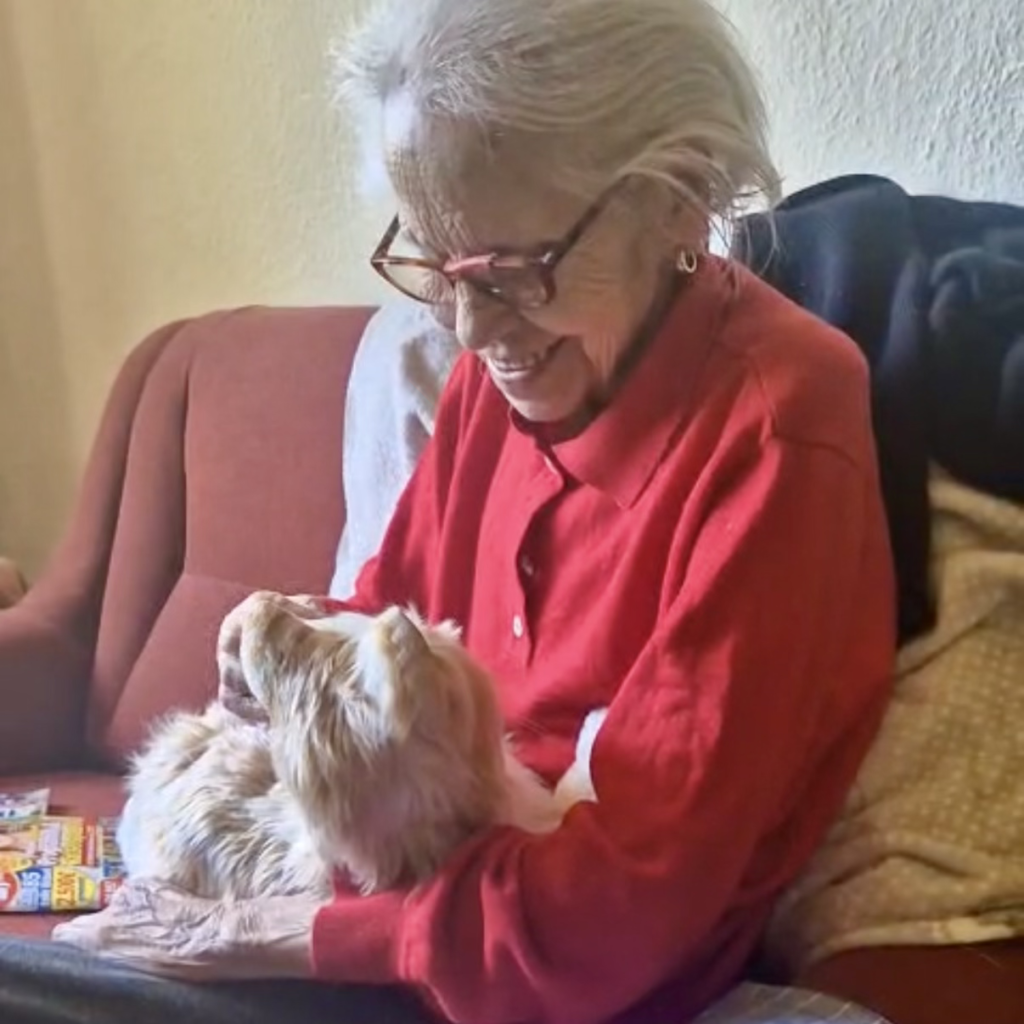 Seniorin sitzt auf einem roten Sofa und hat eine Demenzkatze auf dem Schoß. Sie trägt einen roten Pulli und eine Brille. Ihre weißen Haare sind gekämmt.