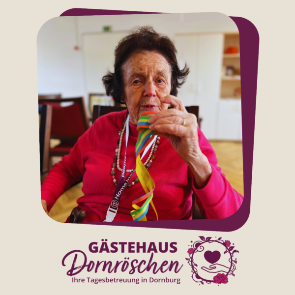 Gästehaus Dornräschen Website Buntes Programm